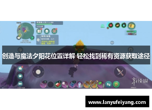 创造与魔法夕阳花位置详解 轻松找到稀有资源获取途径